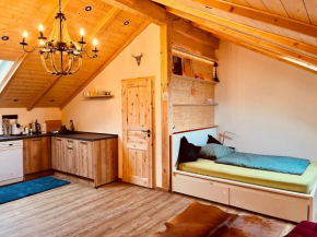 Game Changer Hof Appartment Eging Am See